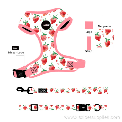 Dog Leash and Collar Set Safe Comfy Bright